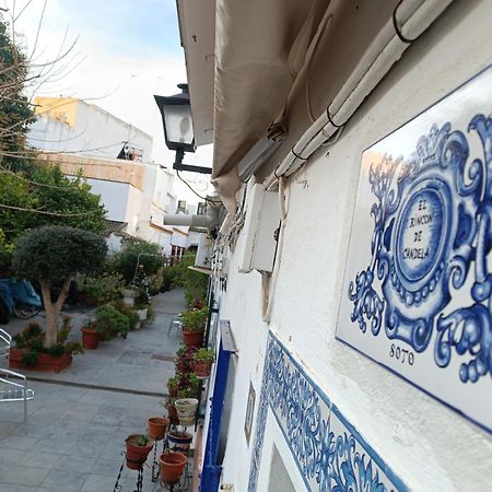 Tipico Y Pintoresco Patio De Vecinos, Con Encanto Seville Ngoại thất bức ảnh