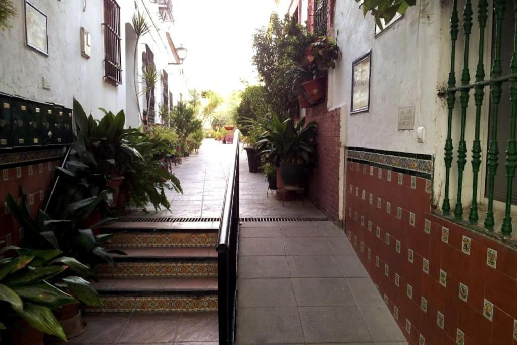 Tipico Y Pintoresco Patio De Vecinos, Con Encanto Seville Ngoại thất bức ảnh