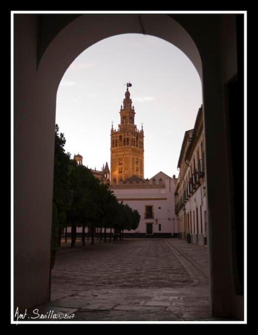 Tipico Y Pintoresco Patio De Vecinos, Con Encanto Seville Ngoại thất bức ảnh