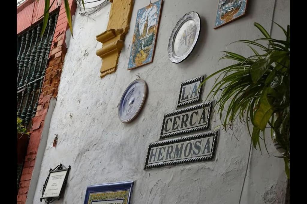 Tipico Y Pintoresco Patio De Vecinos, Con Encanto Seville Ngoại thất bức ảnh