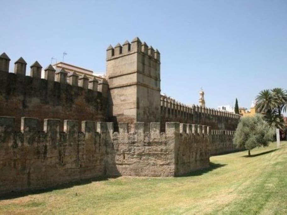 Tipico Y Pintoresco Patio De Vecinos, Con Encanto Seville Ngoại thất bức ảnh