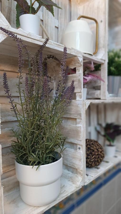 Tipico Y Pintoresco Patio De Vecinos, Con Encanto Seville Ngoại thất bức ảnh