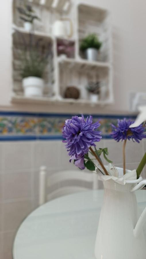 Tipico Y Pintoresco Patio De Vecinos, Con Encanto Seville Ngoại thất bức ảnh
